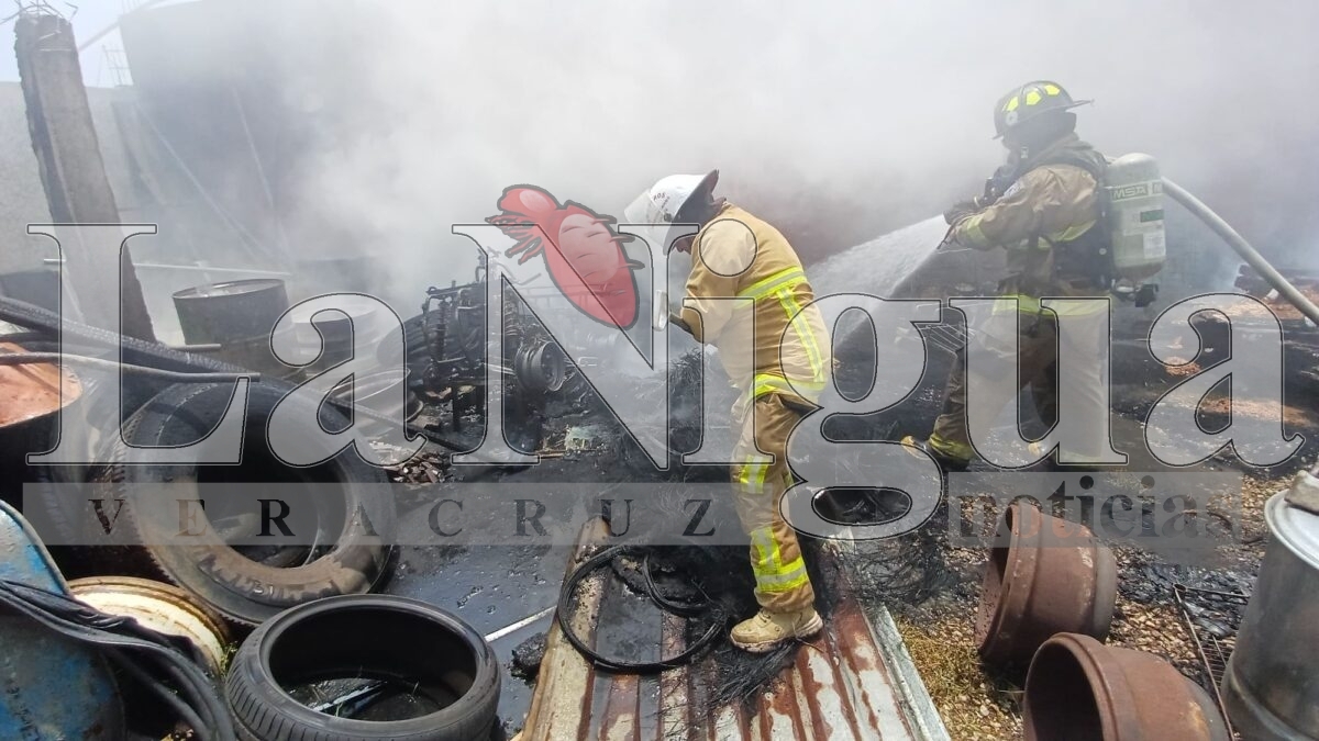 Incendio moviliza a cuerpos de emergencia en Fortín de las Flores 13 img 20250406 wa00387143234959009762819