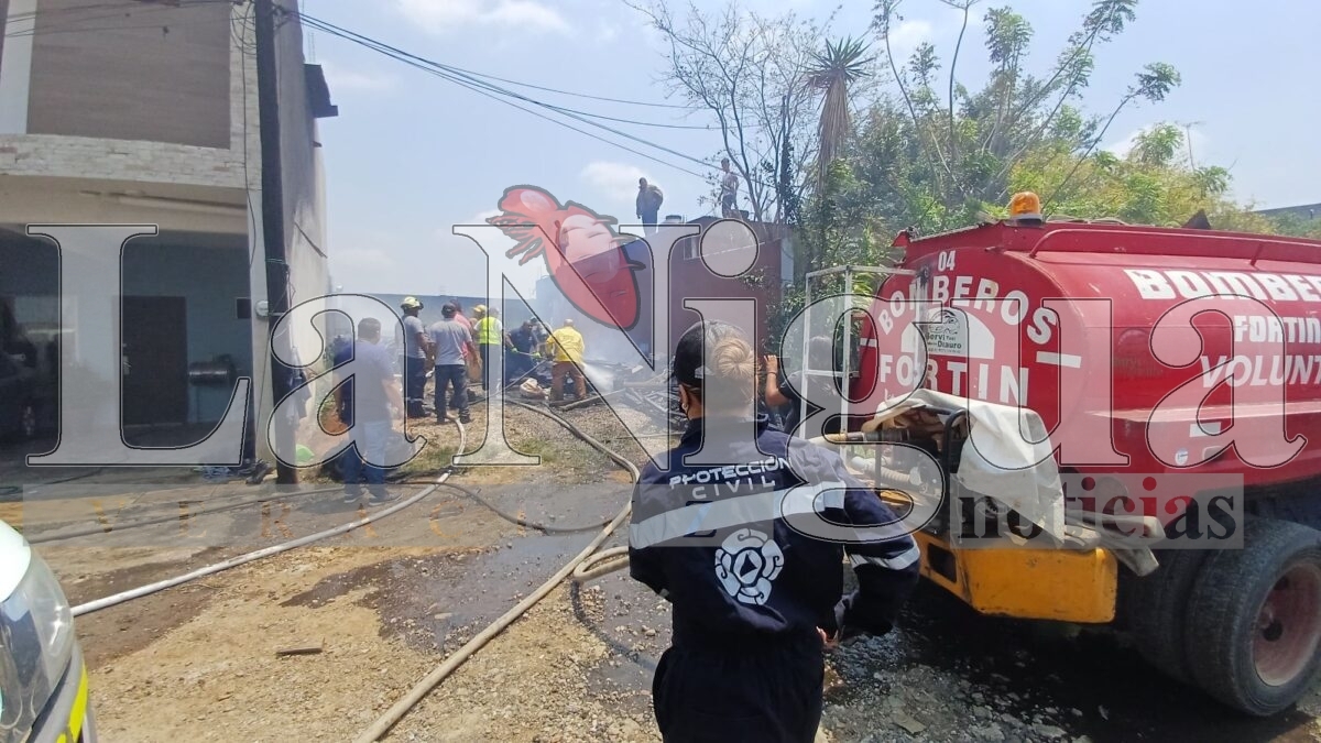Incendio moviliza a cuerpos de emergencia en Fortín de las Flores 11 img 20250406 wa00408527985747945645809