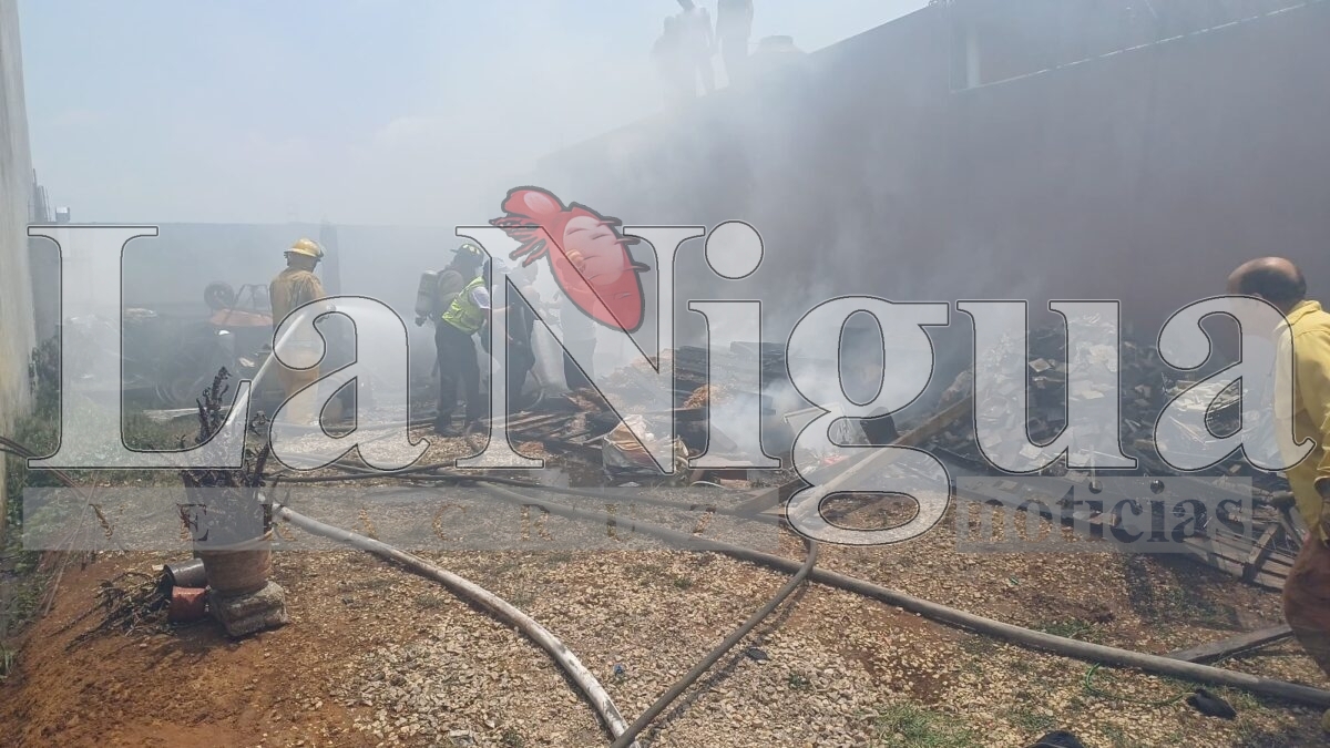 Incendio moviliza a cuerpos de emergencia en Fortín de las Flores 6 img 20250406 wa00443735418071018777457