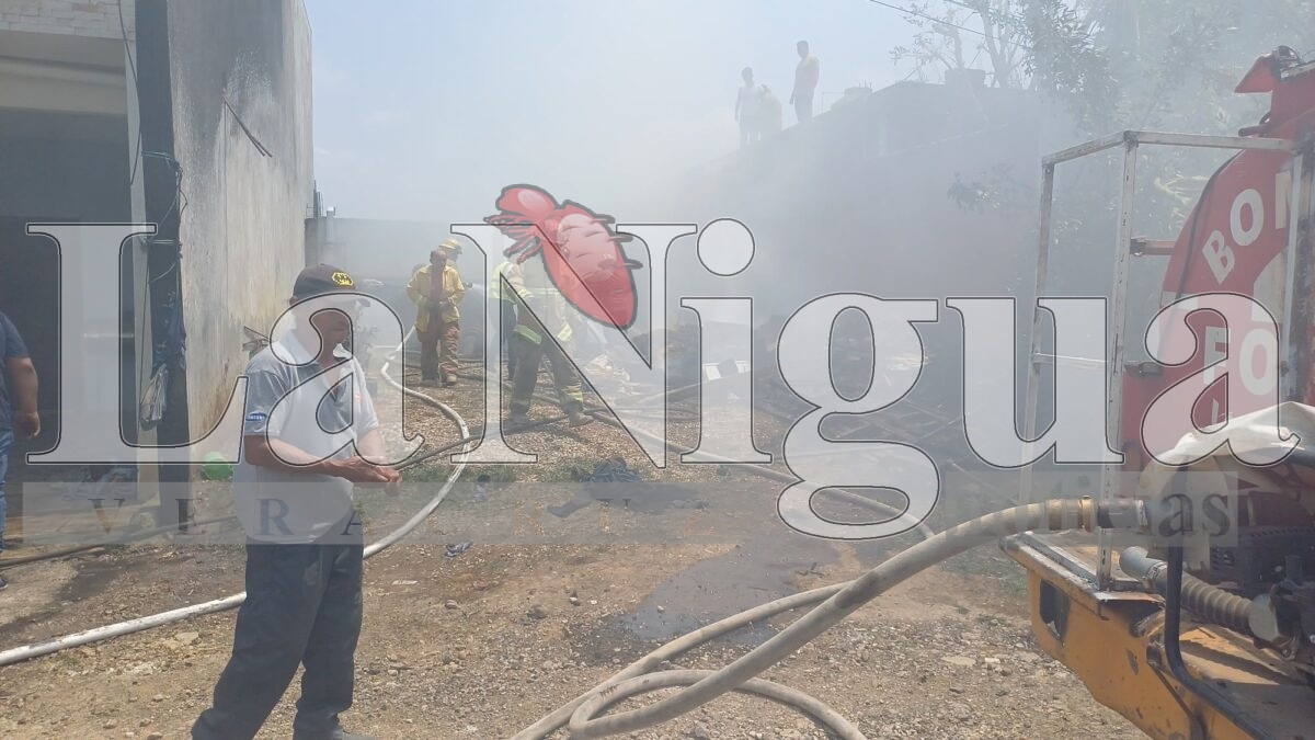 Incendio moviliza a cuerpos de emergencia en Fortín de las Flores 9 img 20250406 wa00463760674476087698738