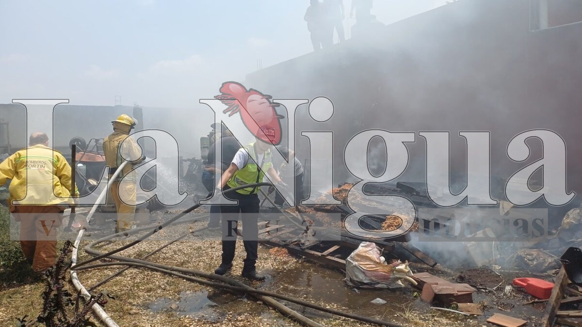 Incendio moviliza a cuerpos de emergencia en Fortín de las Flores 7 img 20250406 wa0048756461368955555154