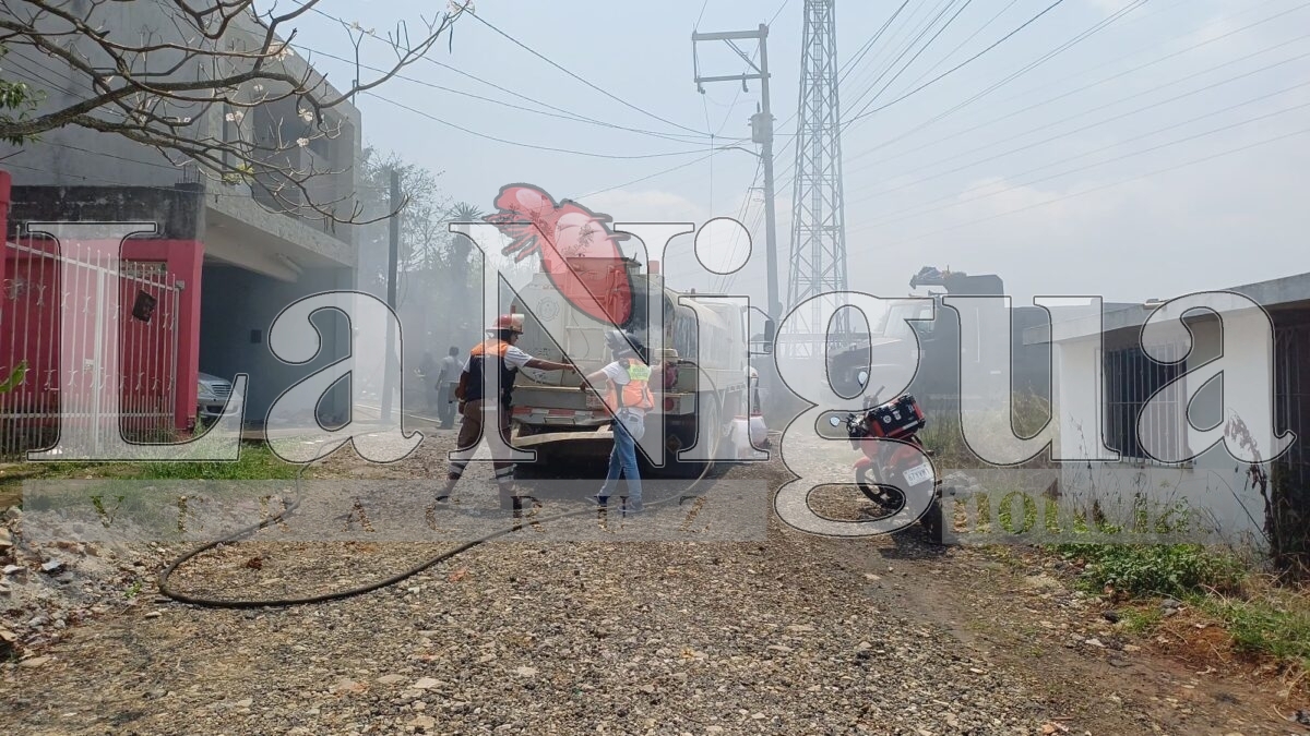Incendio moviliza a cuerpos de emergencia en Fortín de las Flores 8 img 20250406 wa00503391546903756489365