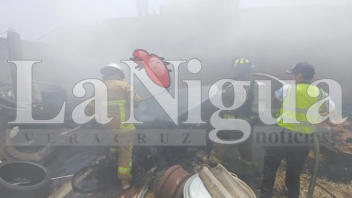 Incendio moviliza a cuerpos de emergencia en Fortín de las Flores 4 img 20250406 wa00527462211195247289854