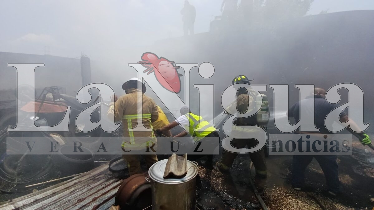 Incendio moviliza a cuerpos de emergencia en Fortín de las Flores 5 img 20250406 wa0054697928868138099213