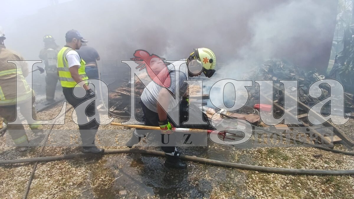Incendio moviliza a cuerpos de emergencia en Fortín de las Flores 2 img 20250406 wa00587904807224376846225