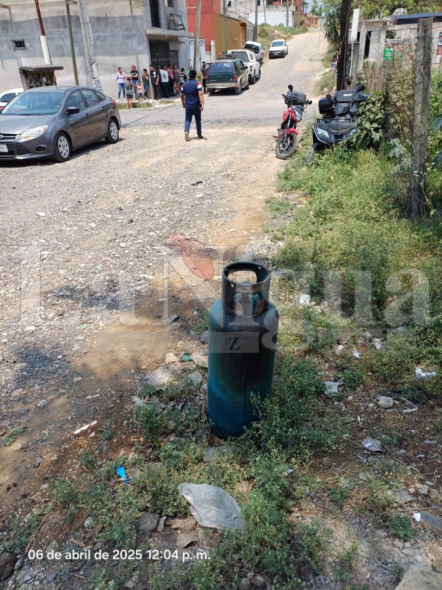 Incendio moviliza a cuerpos de emergencia en Fortín de las Flores 1 img 20250406 wa00606046721899486441269