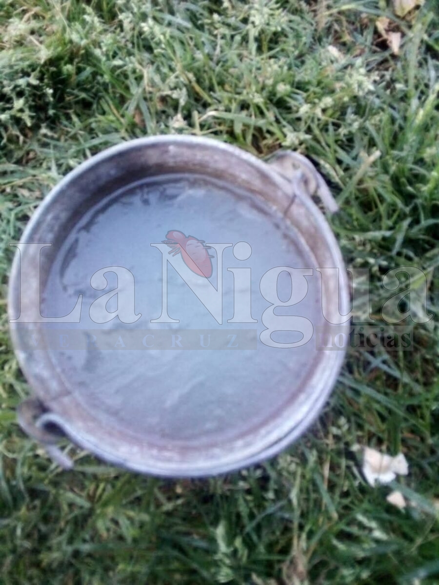 img 20250411 wa00236972789608230299252