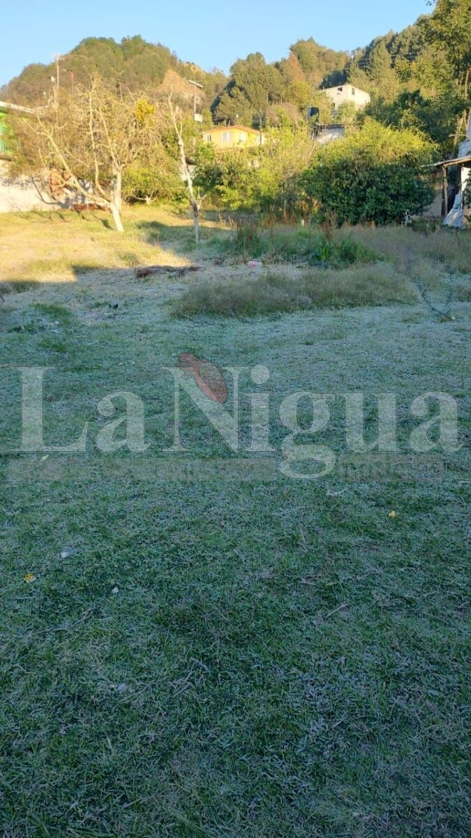 img 20250411 wa00246307669264979890790