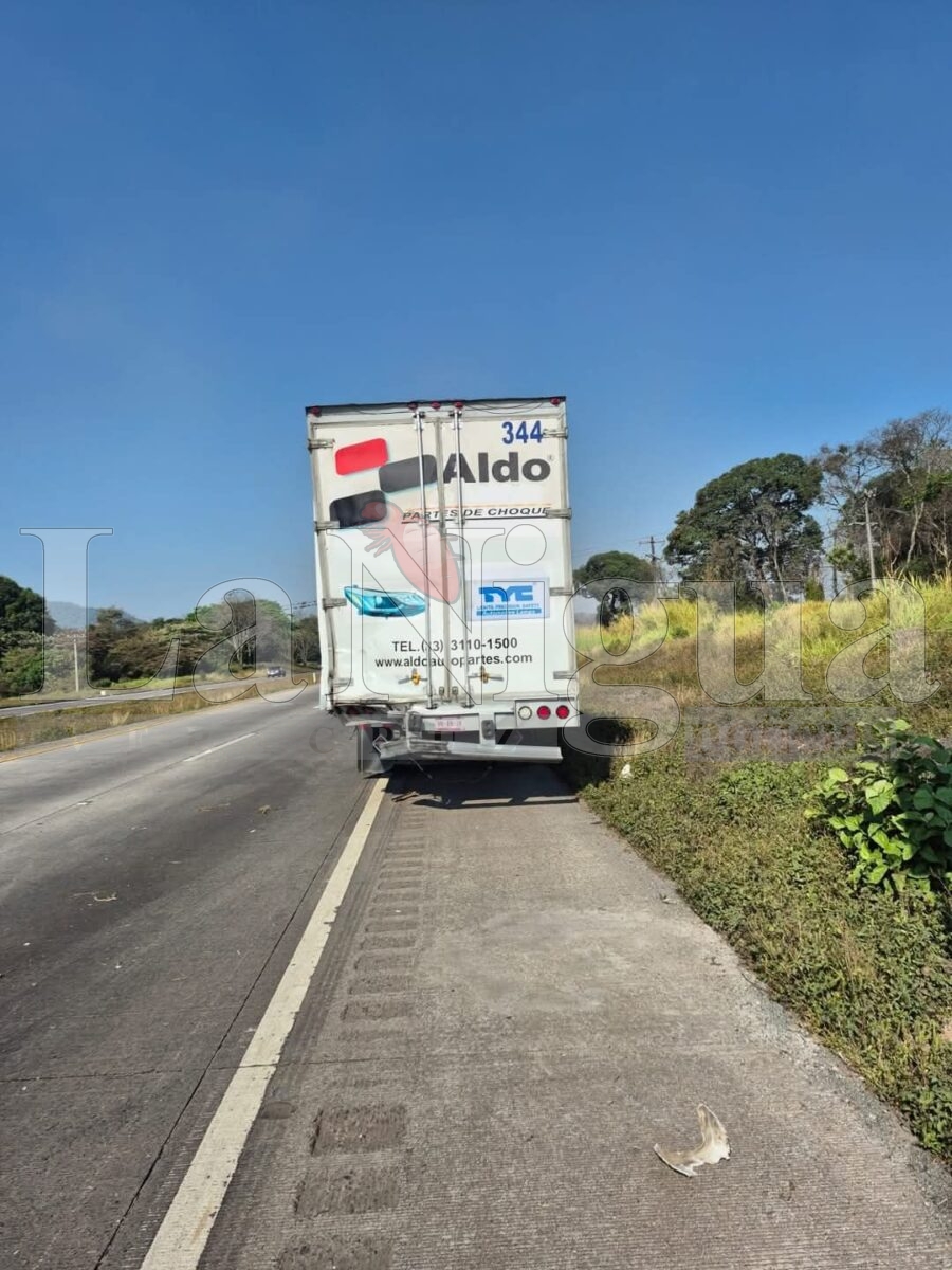 Tráiler se sale del camino en la autopista Veracruz-Córdoba; no hay lesionados 4 img 20250412 wa00247919330965470285983