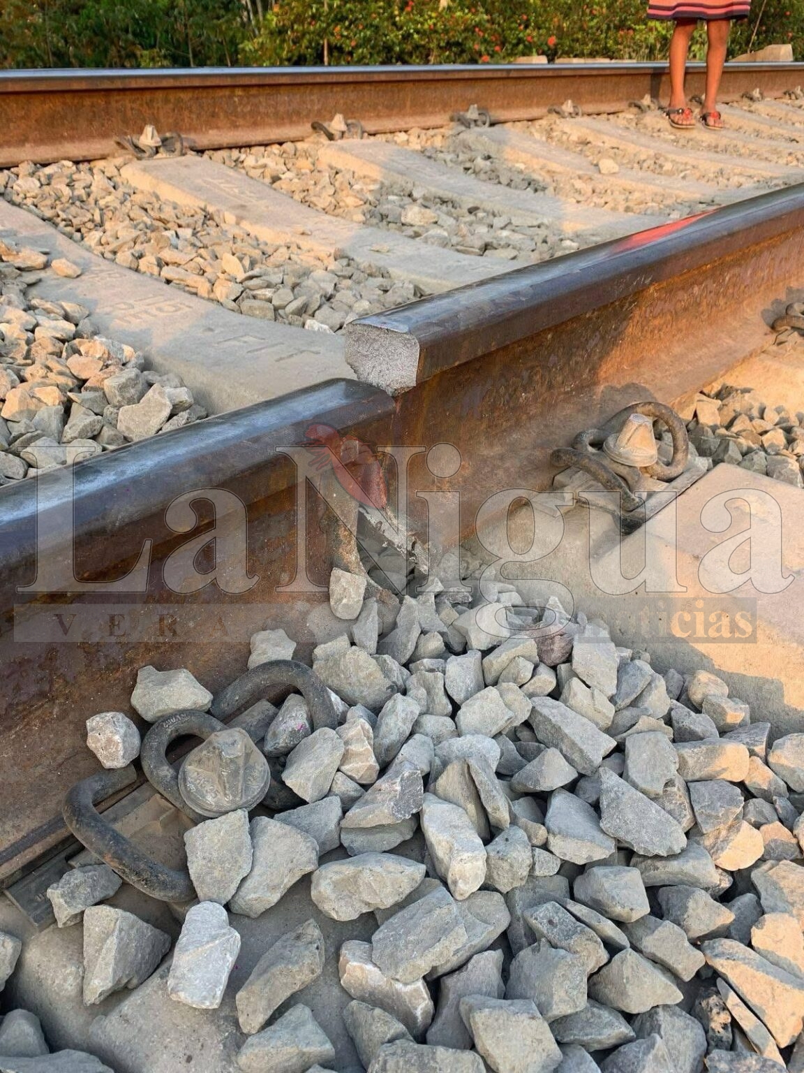 Fractura en vía férrea interrumpe paso del tren interoceánico; Ferromex ya atiende la falla.