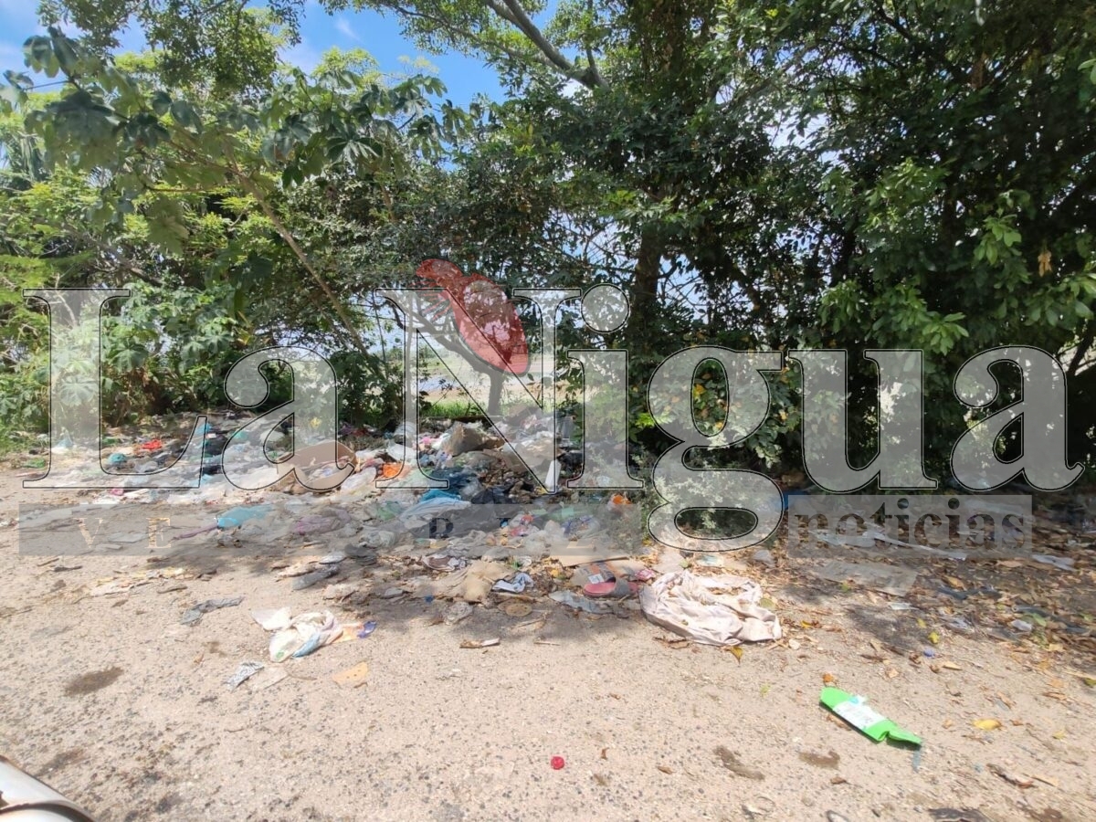 img 20250430 wa00633343574009052888906