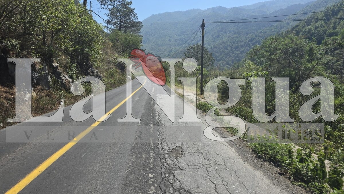 Preocupa riesgo de accidentes en carretera Orizaba-Zongolica: alcalde de Tequila