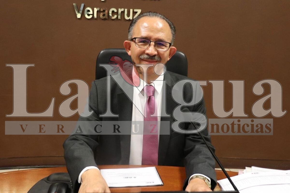 Este miércoles vence el plazo para registrarse como observador u observadora electoral ante el INE