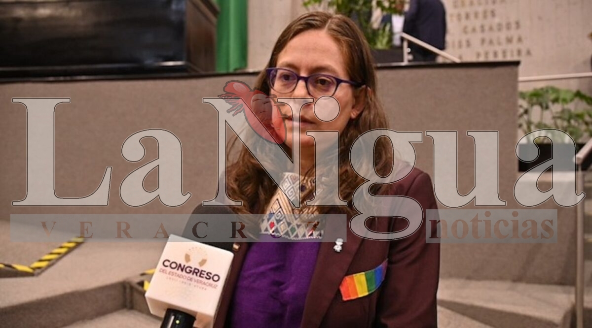 Exhorta diputada a ayuntamientos a evitar conflictos internos