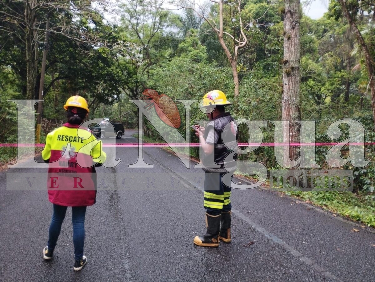 Varios incidentes tras tormenta en Fortín: caída de árbol, inundaciones y daños menores 6 img 20250503 wa0123195674221330862993