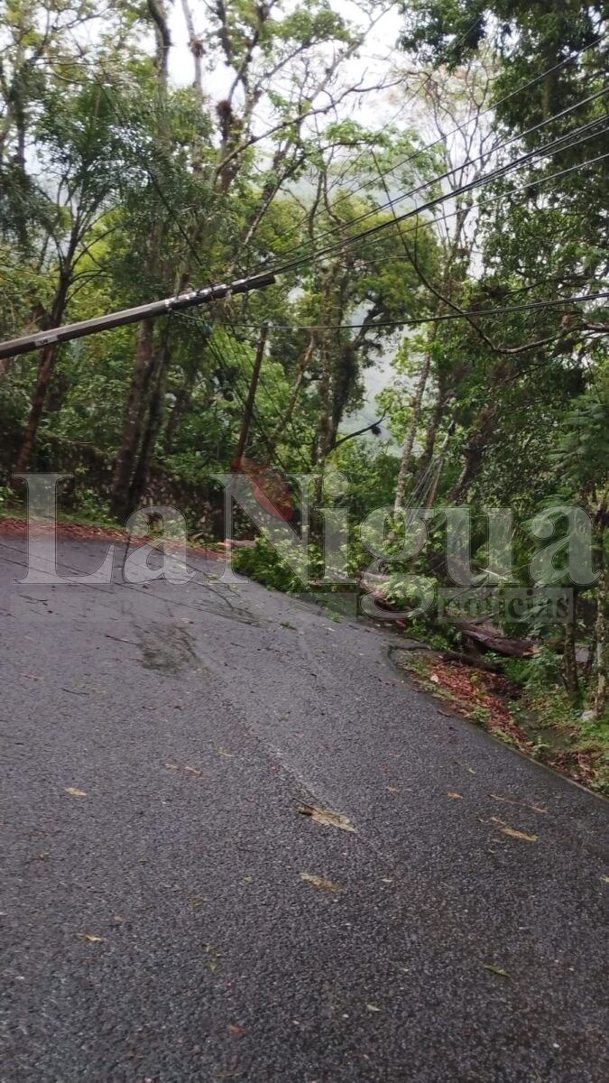Varios incidentes tras tormenta en Fortín: caída de árbol, inundaciones y daños menores 8 img 20250503 wa0125377185852593866083