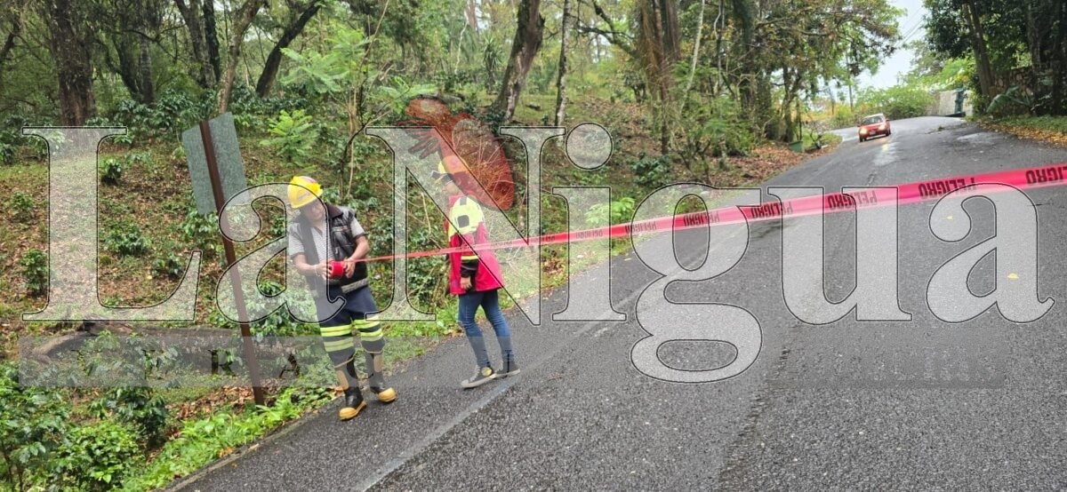 Varios incidentes tras tormenta en Fortín: caída de árbol, inundaciones y daños menores 4 img 20250503 wa01279037473793014024008
