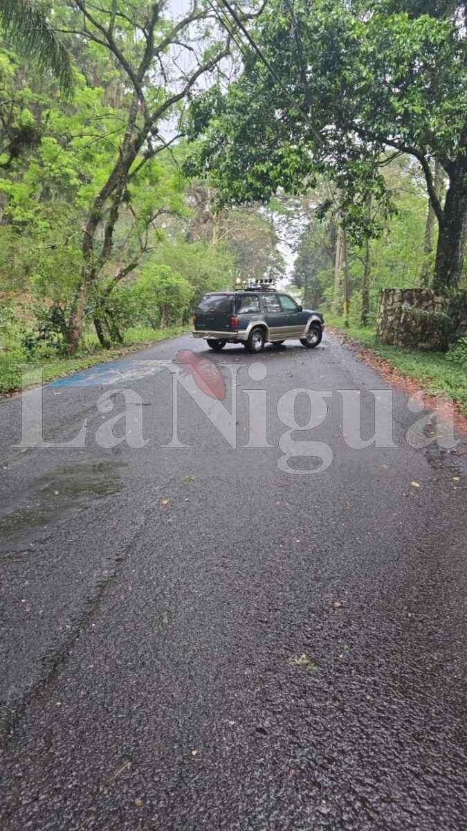 Varios incidentes tras tormenta en Fortín: caída de árbol, inundaciones y daños menores 9 img 20250503 wa01288055338203336828756