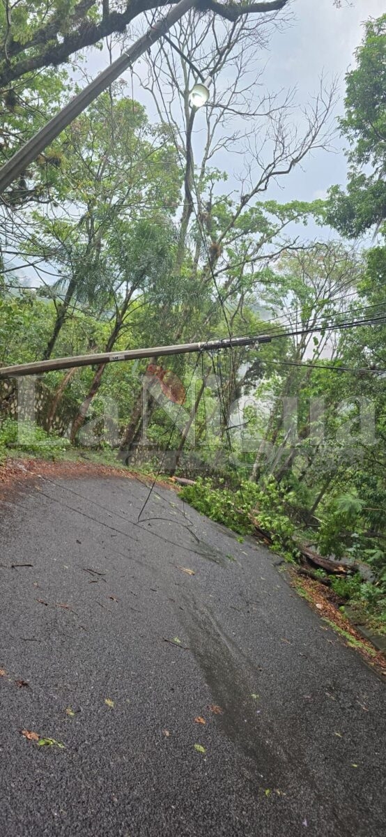 Varios incidentes tras tormenta en Fortín: caída de árbol, inundaciones y daños menores 12 img 20250503 wa01316652119054970393876