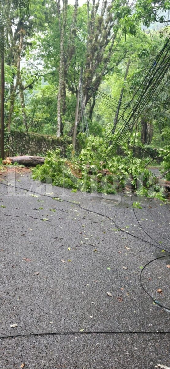 Varios incidentes tras tormenta en Fortín: caída de árbol, inundaciones y daños menores 13 img 20250503 wa01327624771920042919541