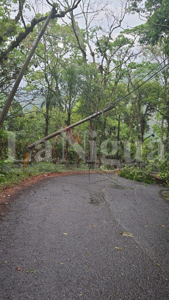 Varios incidentes tras tormenta en Fortín: caída de árbol, inundaciones y daños menores 10 img 20250503 wa01334746596313426035633