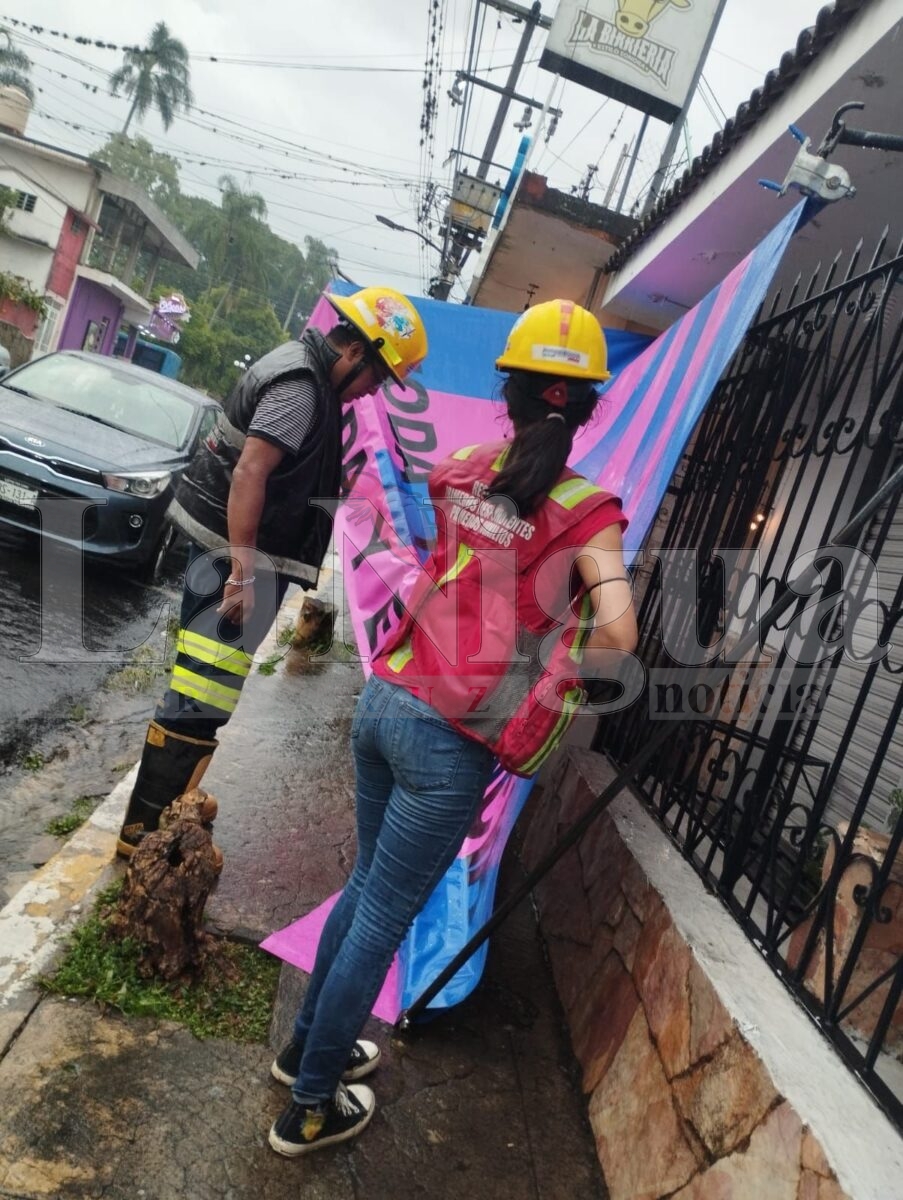 Varios incidentes tras tormenta en Fortín: caída de árbol, inundaciones y daños menores 2 img 20250503 wa01342161031386730249826