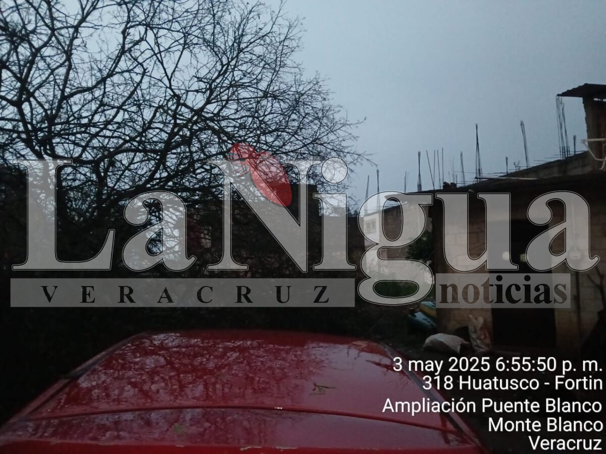 Atiende Protección Civil, Dirección de Servicios Municipales y CASF incidentes ocasionados por tormenta eléctrica 3 img 20250503 wa0147488265475109563170