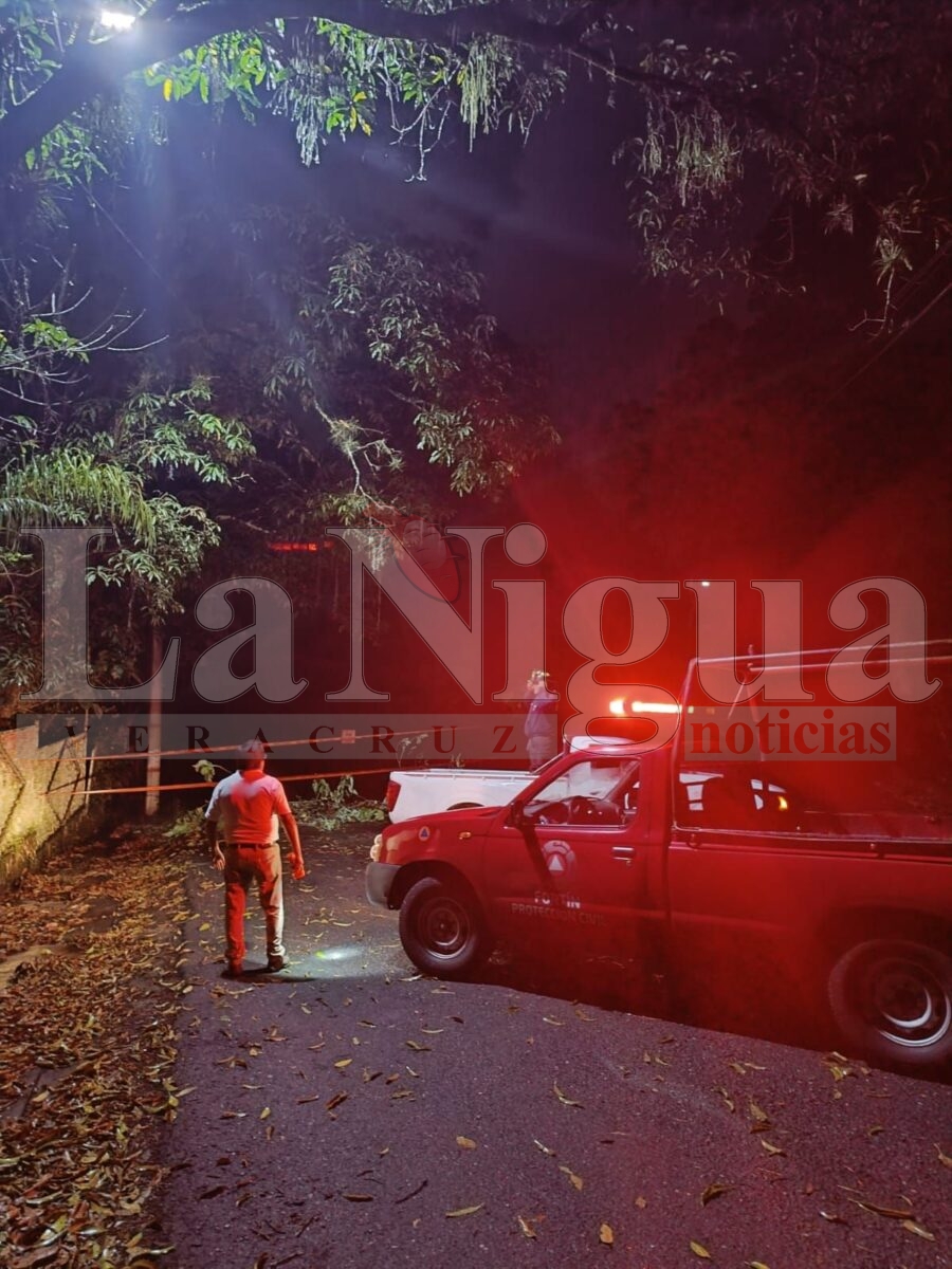 Atiende Protección Civil, Dirección de Servicios Municipales y CASF incidentes ocasionados por tormenta eléctrica 1 img 20250503 wa01496960859686205780032