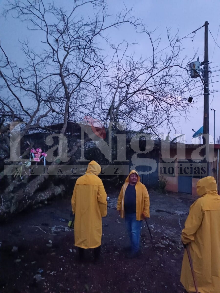 Atiende Protección Civil, Dirección de Servicios Municipales y CASF incidentes ocasionados por tormenta eléctrica 5 img 20250503 wa01506094366155883196340