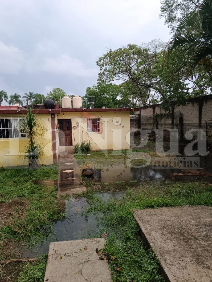 Atiende Protección Civil Córdoba tres afectaciones por el fenómeno hidrometeorológico 6 img 20250503 wa01524307409529144636350