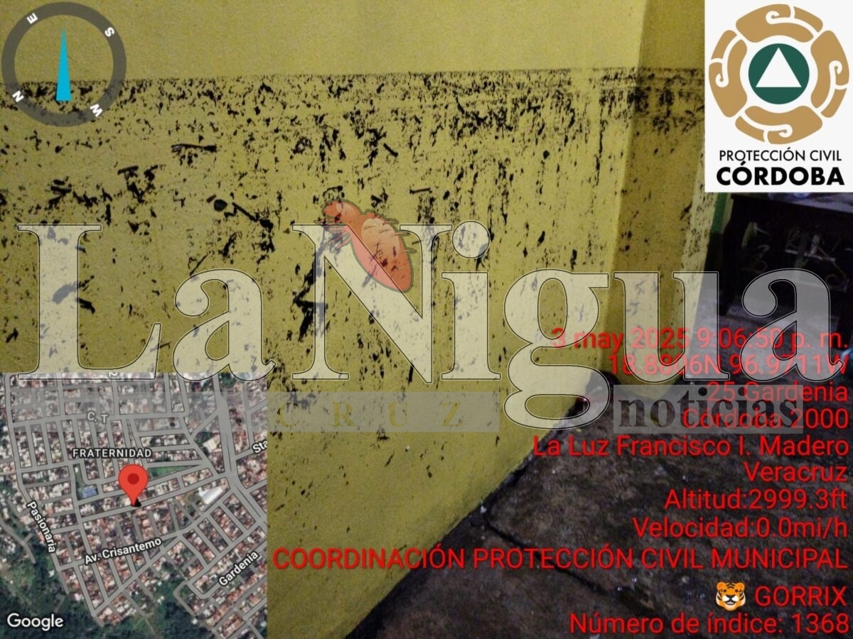 Atiende Protección Civil Córdoba tres afectaciones por el fenómeno hidrometeorológico 4 img 20250503 wa01563462024526529536260