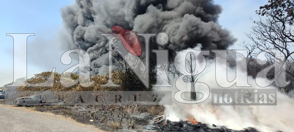 Dos incendios paralizan el sur de Veracruz y movilizan a cuerpos de emergencia. 3 img 20250507 wa0128183601525852666197