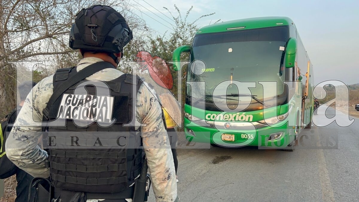 Privan de la libertad a dos personas en asalto a autobus en Tantoyuca 5 img 20250508 wa00311432933681156254131