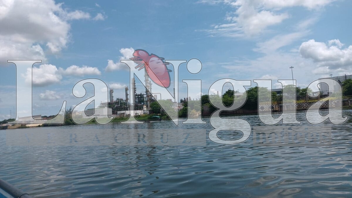 Ocho derrames de hidrocarburo en el río Coatzacoalcos lo que ha provocado la refinería general Lázaro Cárdenas 9 img 20250511 wa00225364556025142217683