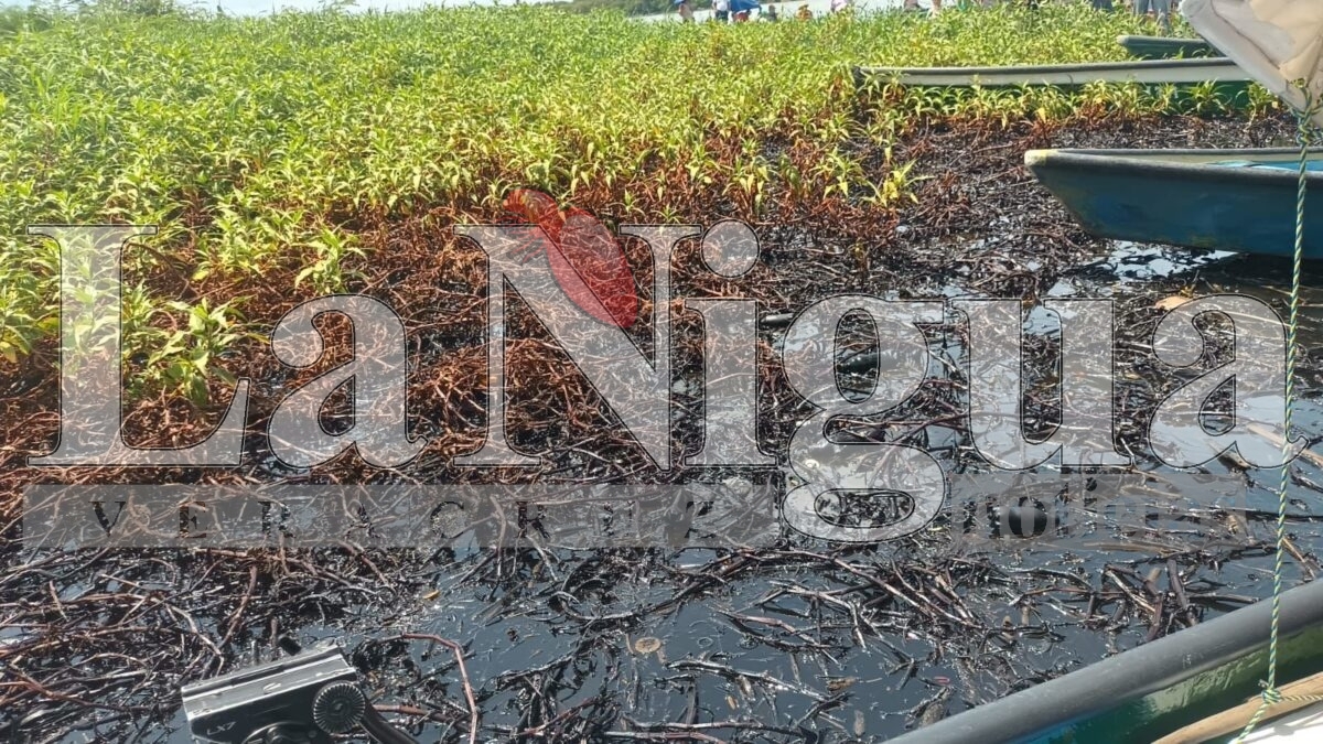 Ocho derrames de hidrocarburo en el río Coatzacoalcos lo que ha provocado la refinería general Lázaro Cárdenas 11 img 20250511 wa00248682259175558519375