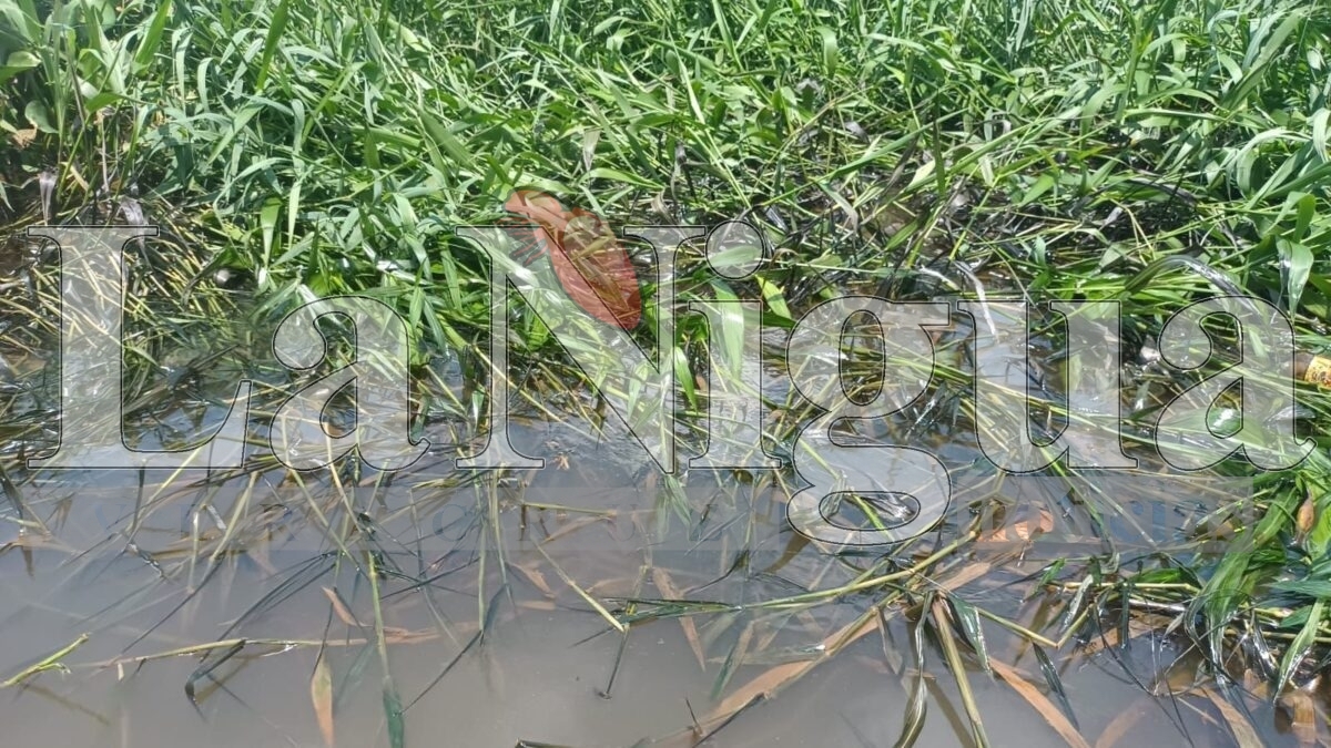 Ocho derrames de hidrocarburo en el río Coatzacoalcos lo que ha provocado la refinería general Lázaro Cárdenas 5 img 20250511 wa00254608656230442602556