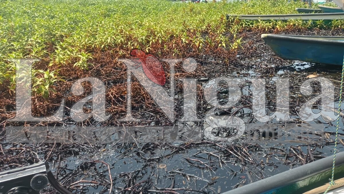 Ocho derrames de hidrocarburo en el río Coatzacoalcos lo que ha provocado la refinería general Lázaro Cárdenas 4 img 20250511 wa00266542729396916678983