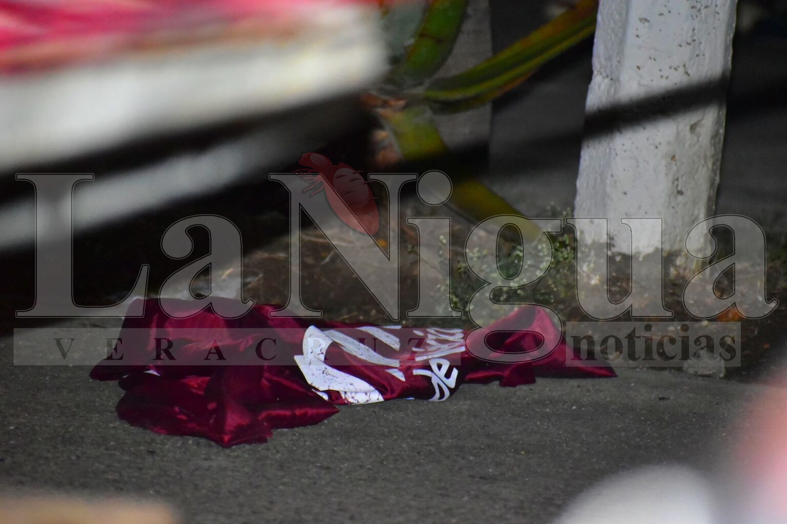 Asesinos de candidata de Texistepec, la saludaron antes de dispararle.