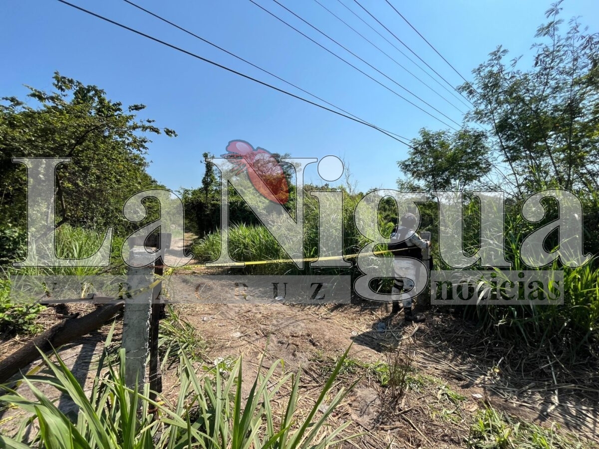 img 20250519 wa01181933349214284931447