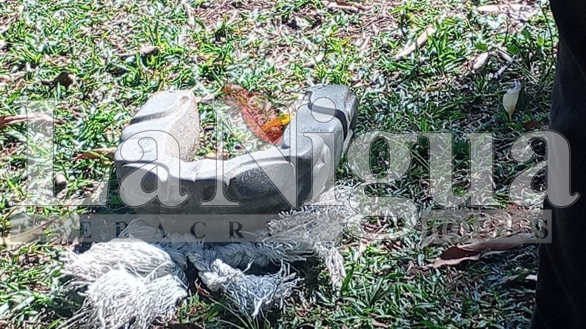Descubrimiento Arqueológico en Costa de Oro: Hallan Piedra Prehispánica en San Andrés Tuxtla. 4 img 20250520 wa00371957214149473012429