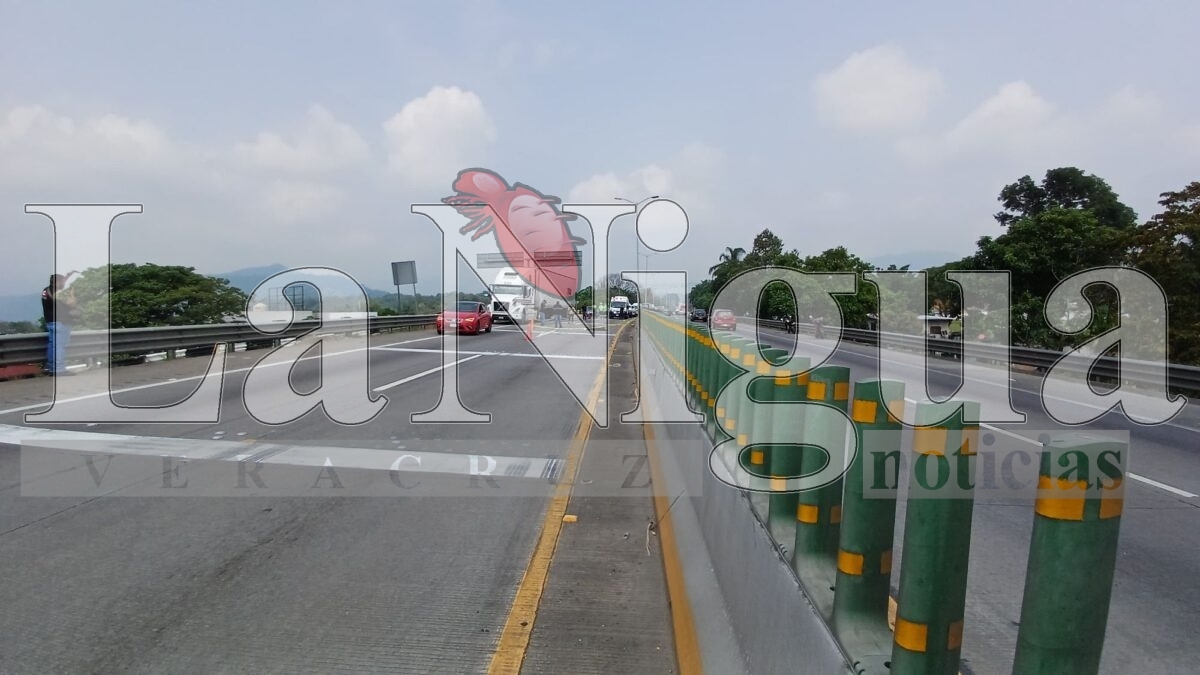 Muere joven atropellado en la autopista Orizaba-Córdoba 21 img 20250531 wa00106242365018343932889