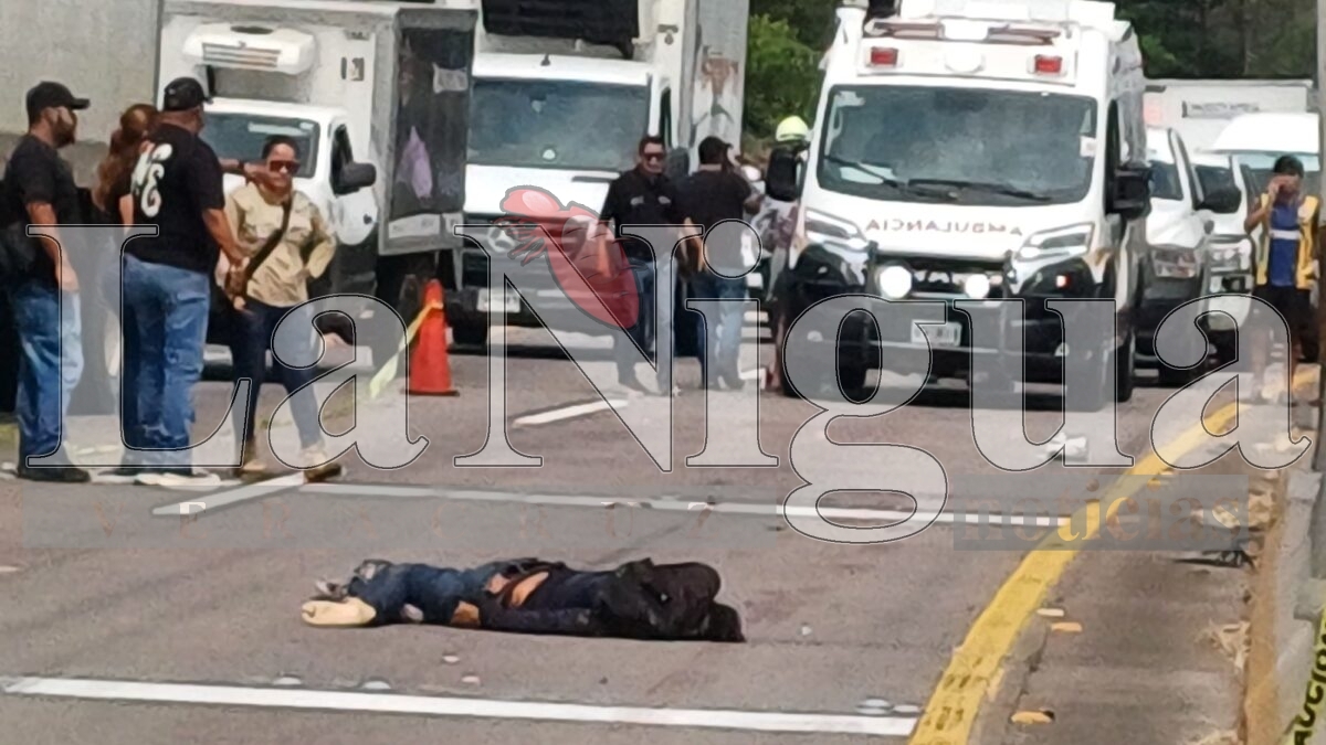 Muere joven atropellado en la autopista Orizaba-Córdoba 20 img 20250531 wa00113355509053240558920
