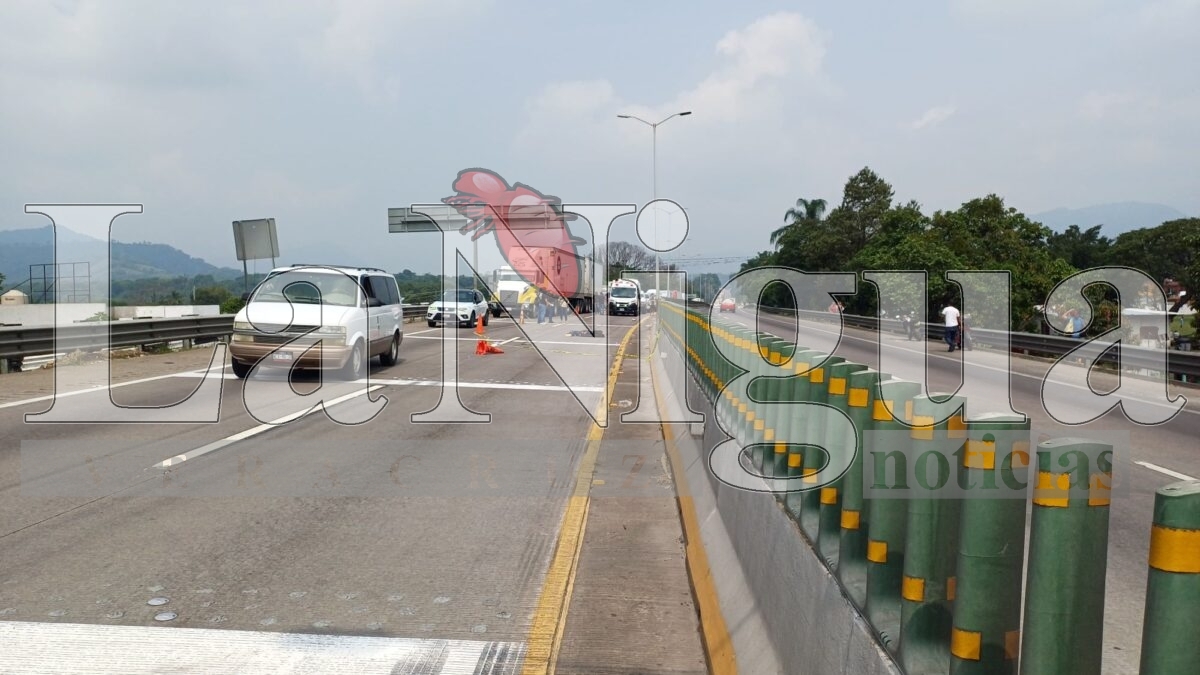 Muere joven atropellado en la autopista Orizaba-Córdoba 18 img 20250531 wa00136611296387635772030