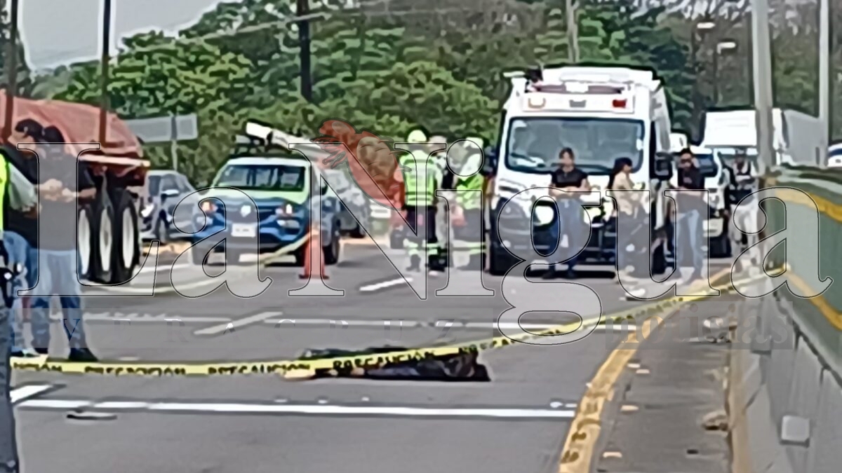 Muere joven atropellado en la autopista Orizaba-Córdoba 16 img 20250531 wa00188163097007937074947