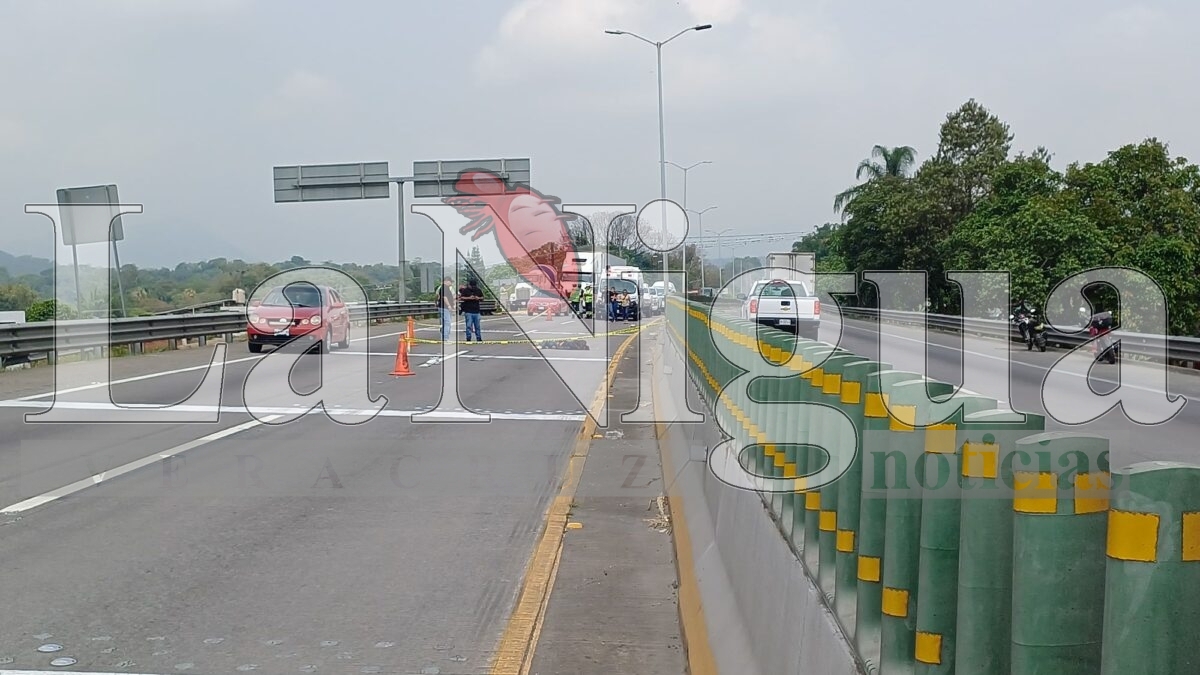 Muere joven atropellado en la autopista Orizaba-Córdoba 15 img 20250531 wa00207469180141299466346