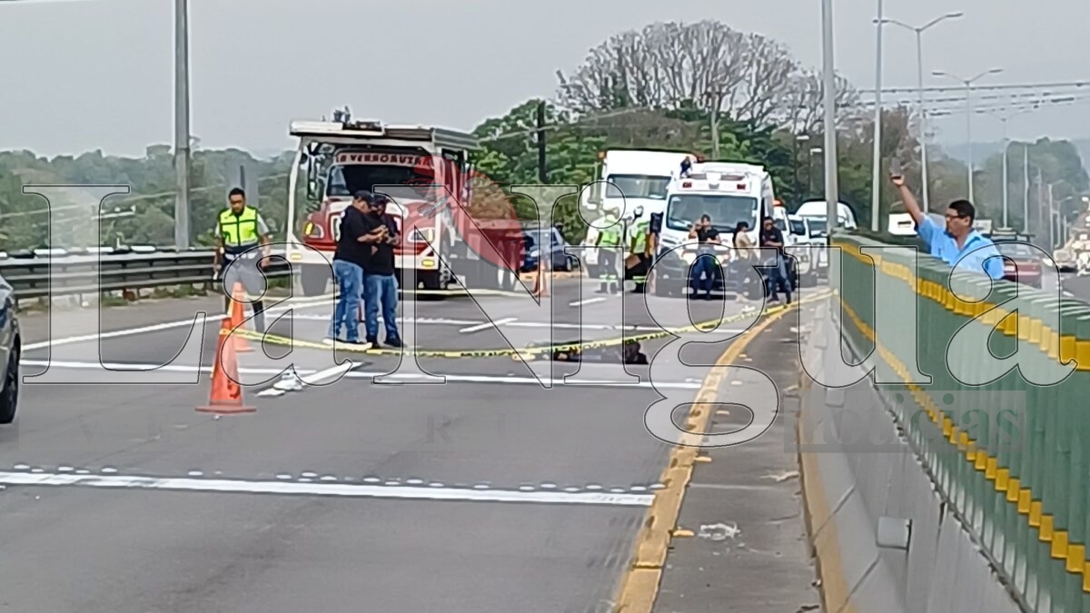 Muere joven atropellado en la autopista Orizaba-Córdoba 14 img 20250531 wa00224850226432933818863