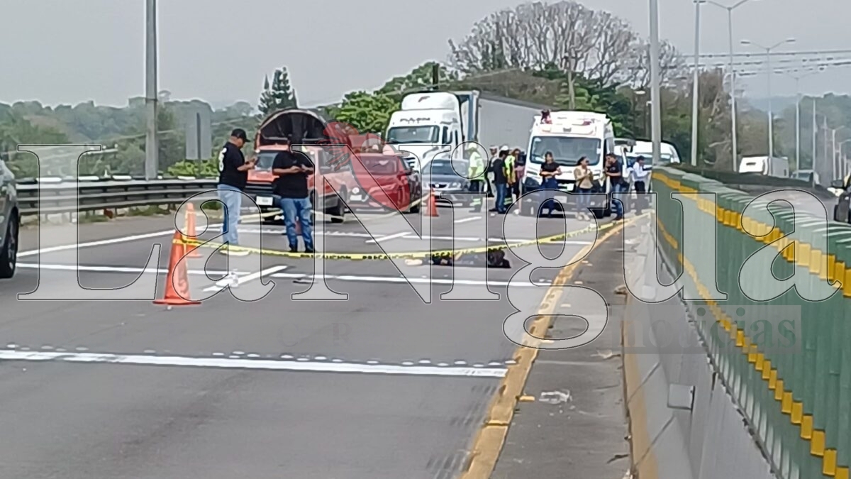 Muere joven atropellado en la autopista Orizaba-Córdoba 13 img 20250531 wa00245195439872193192784