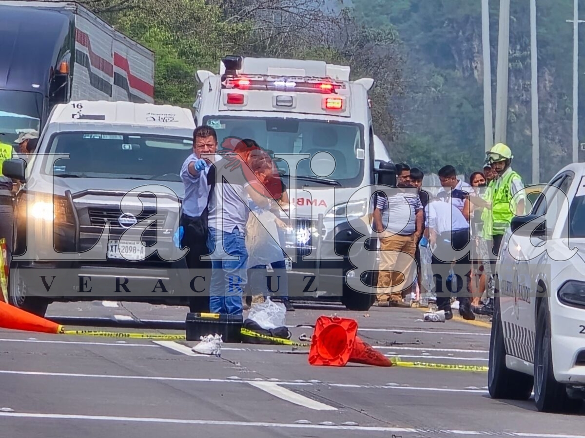 Muere joven atropellado en la autopista Orizaba-Córdoba 12 img 20250531 wa00275981761734938301382