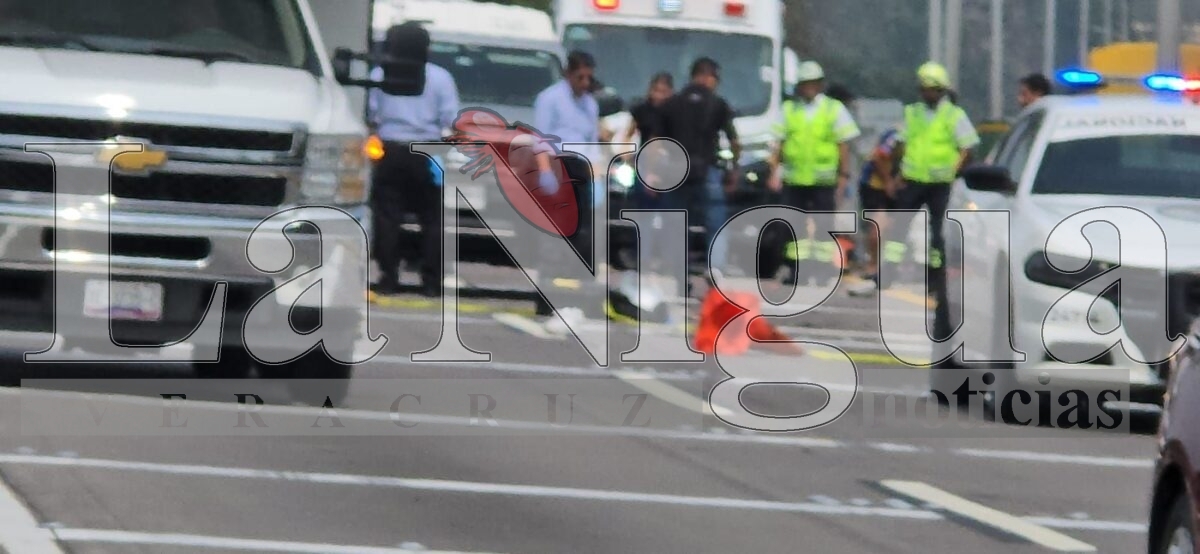 Muere joven atropellado en la autopista Orizaba-Córdoba 9 img 20250531 wa00308034517659782623091