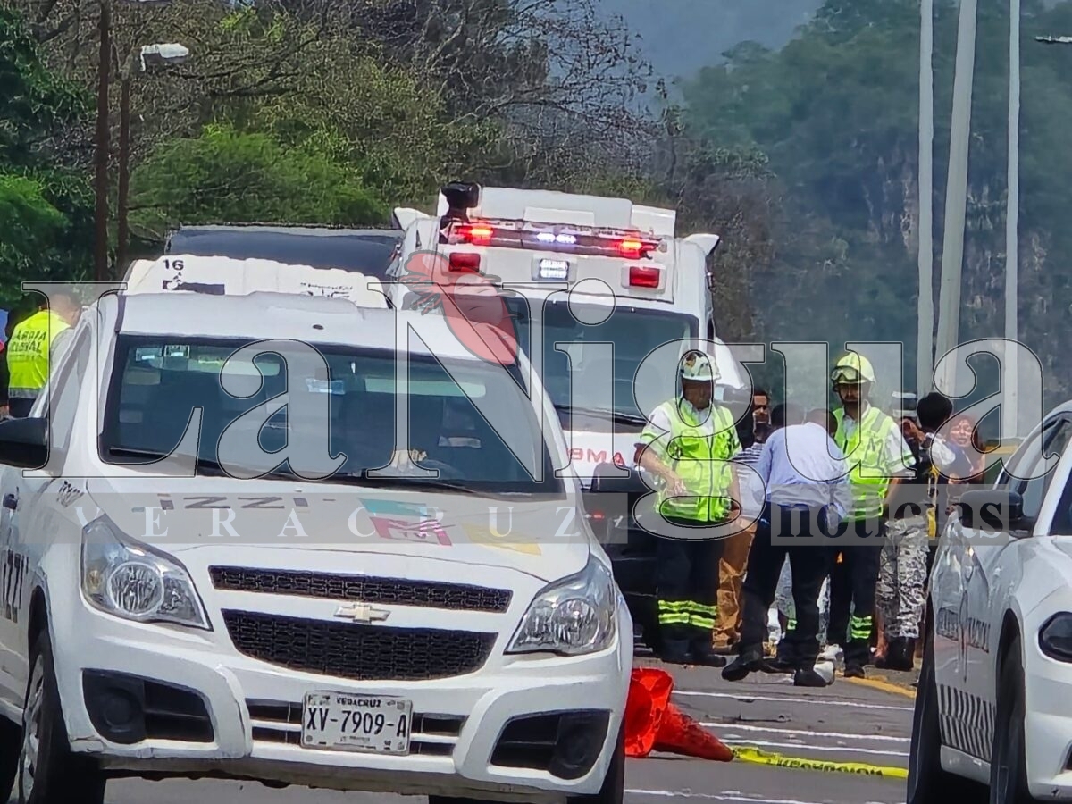 Muere joven atropellado en la autopista Orizaba-Córdoba 8 img 20250531 wa00319116289365036305199